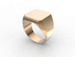 Кольцо AN 3D модель