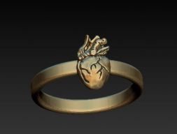 СЕРДЕЧНО-СОСУДИСТЫЕ СРЕДСТВА - 3D модель кольца сердца