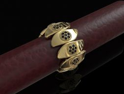 Модель Micro Inspiring Ring 3D модель