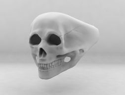 Кольцо с черепом 3D модель