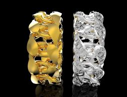 MH RINGS N15 3D модель