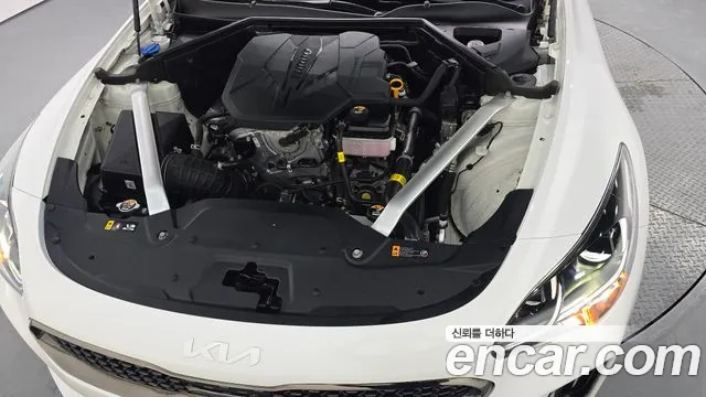Kia Stinger, фото 11