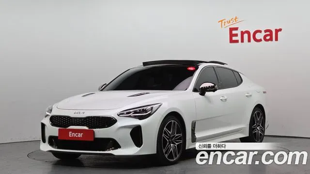 Kia Stinger, фото 17