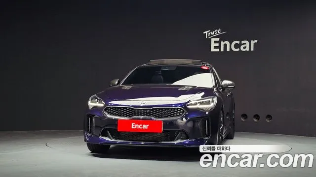 Kia Stinger, фото 19