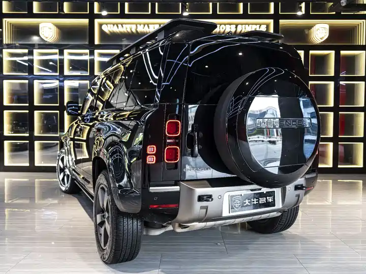 Land Rover Defender, фото 4