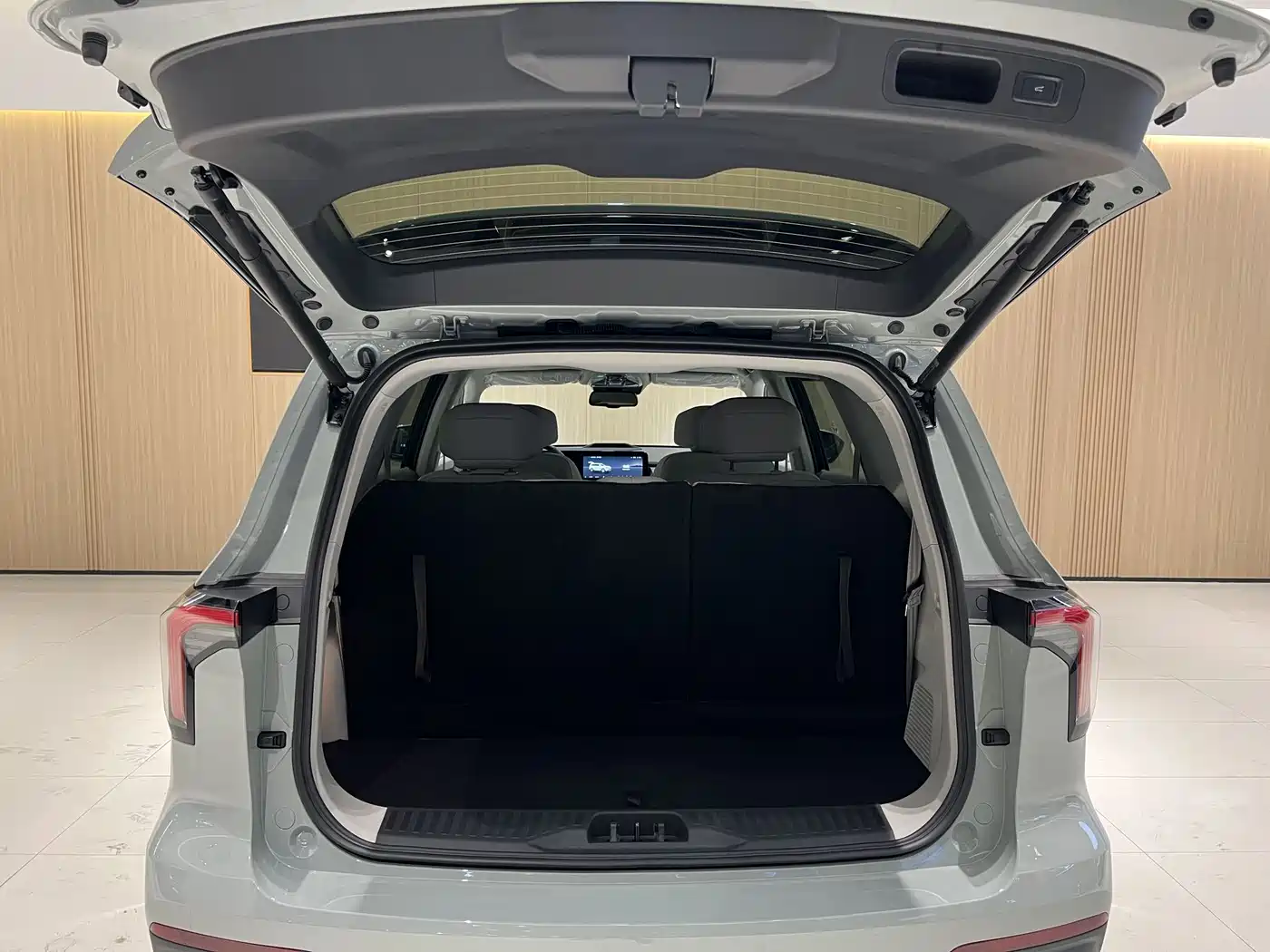 Ford Territory, фото 10