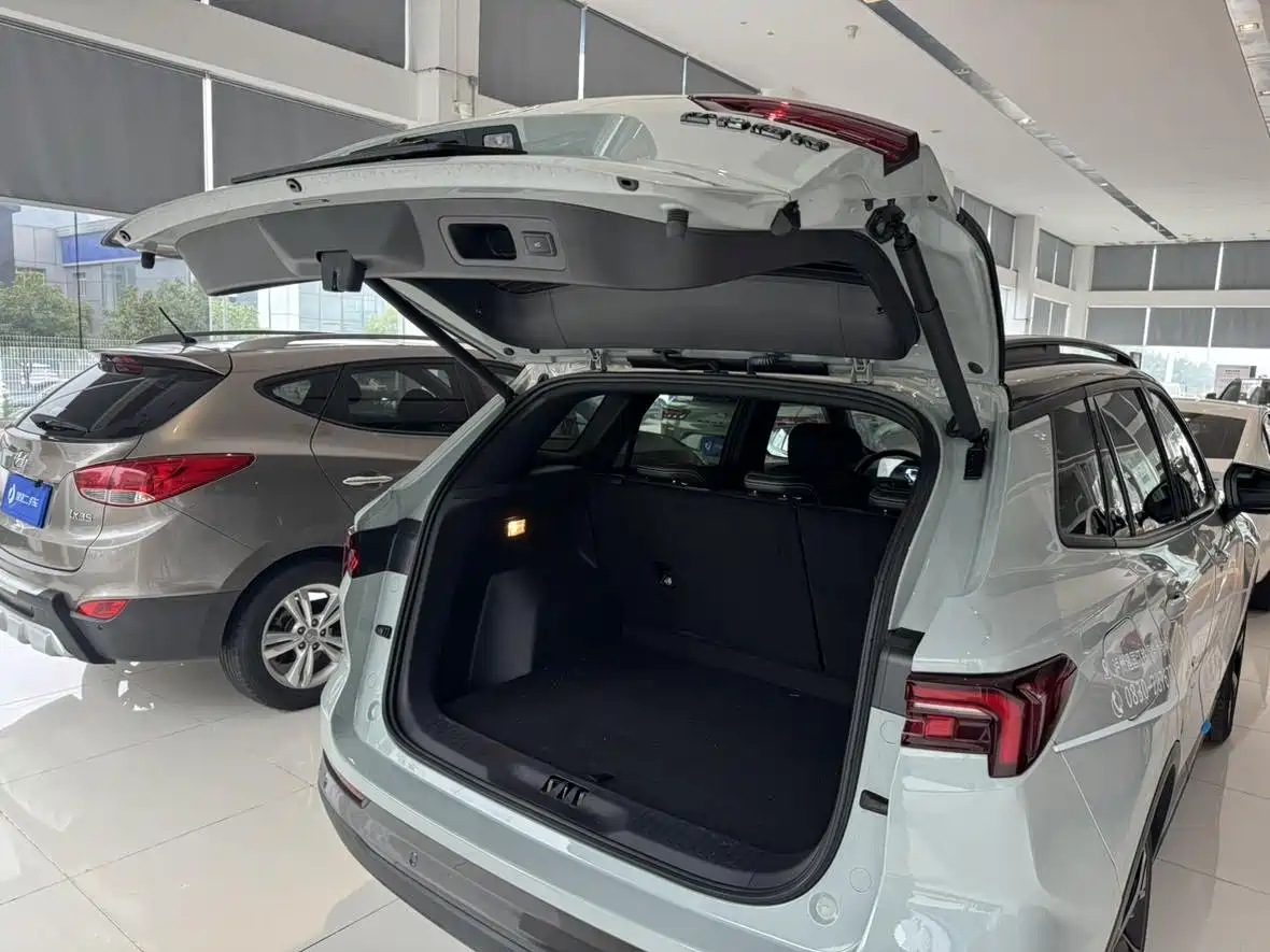 Ford Territory, фото 4