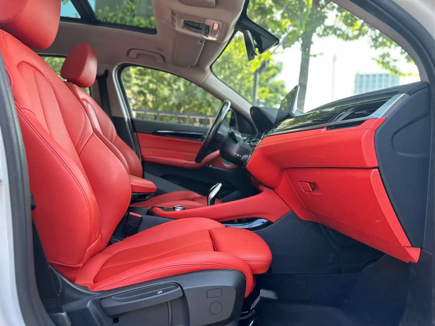 BMW X2, фото 23
