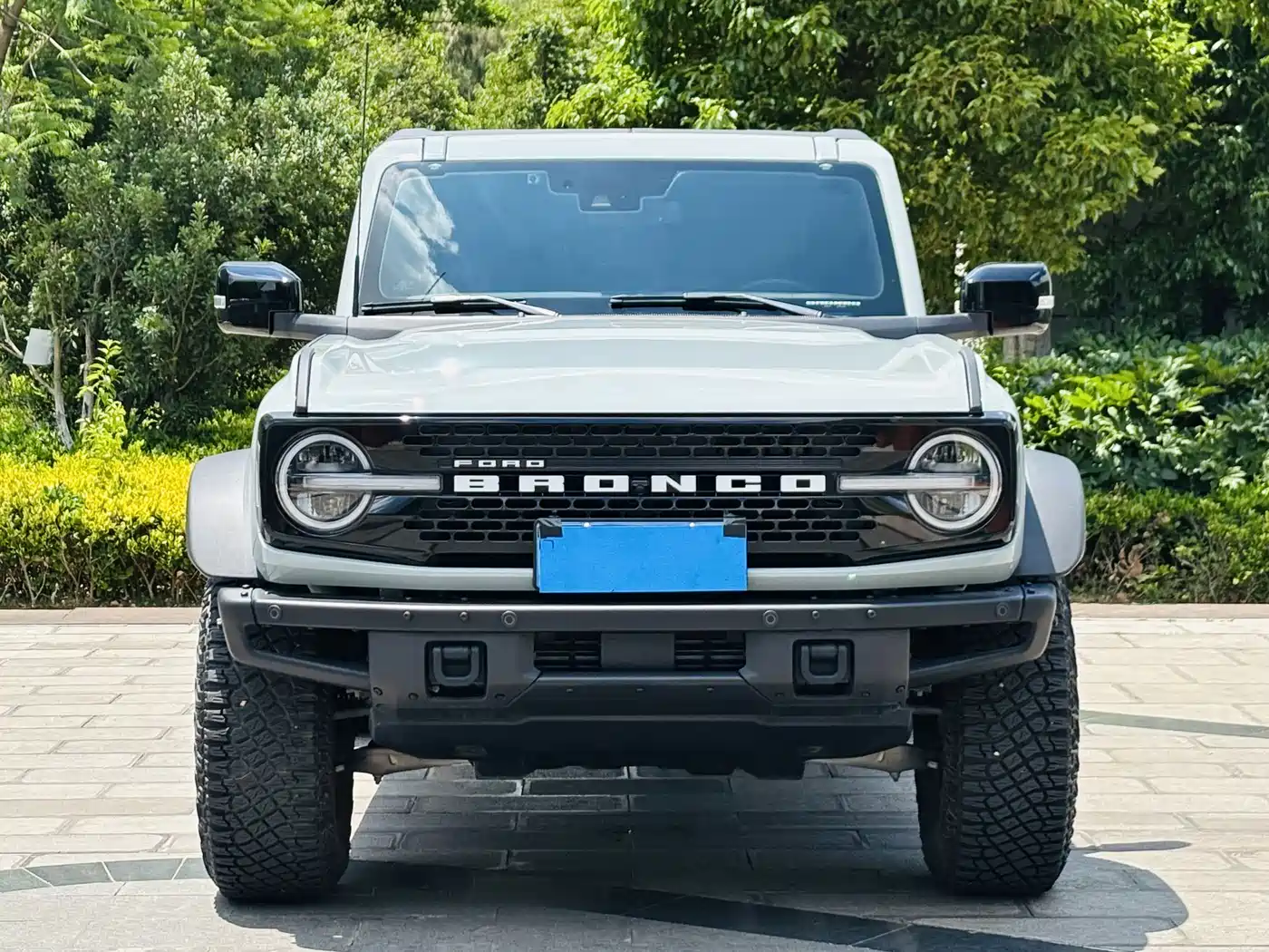 Ford Bronco, фото 2