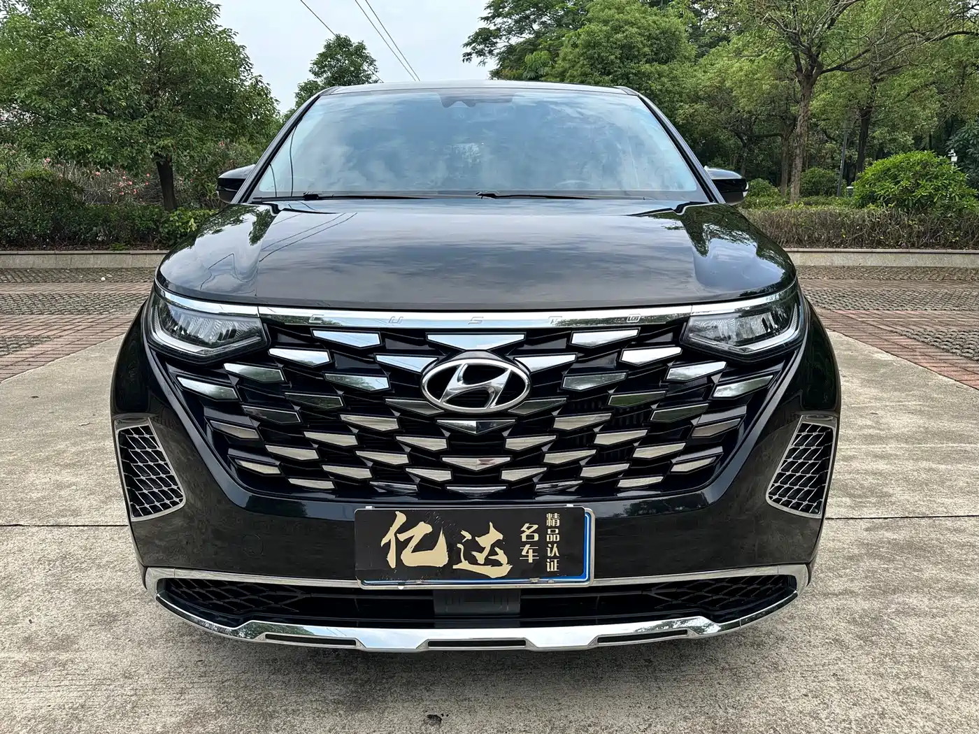 Hyundai Custo, фото 2