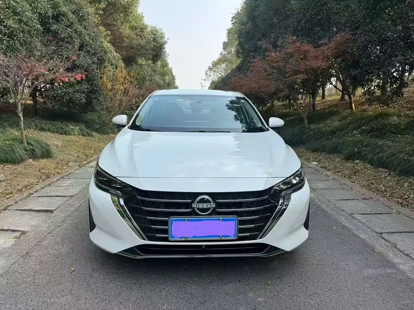 Nissan Sylphy, фото 2