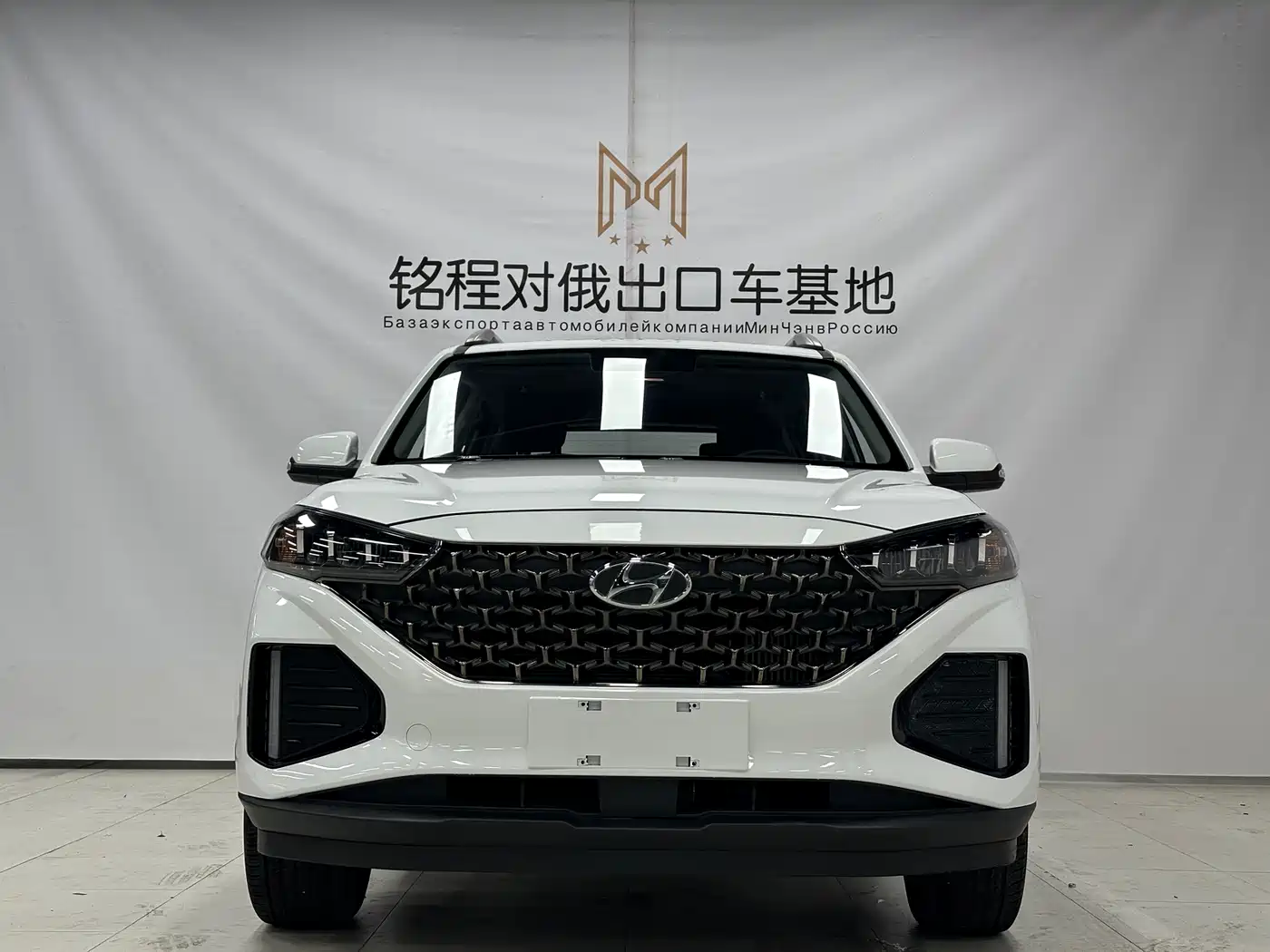 Hyundai ix35, фото 2
