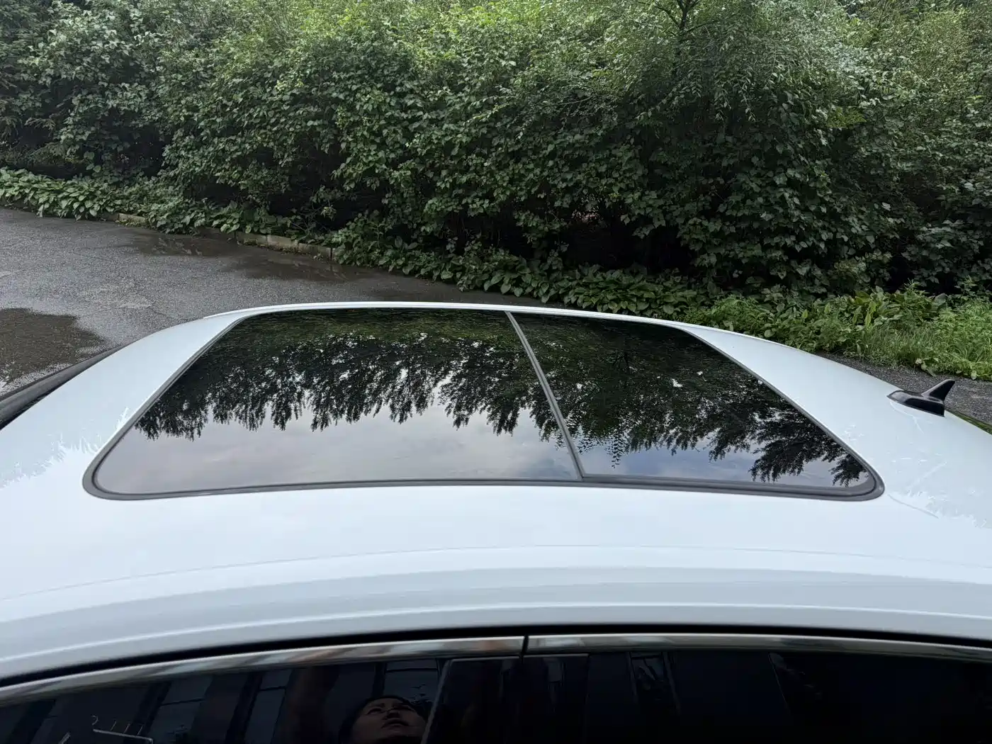 Volkswagen Sagitar, фото 10