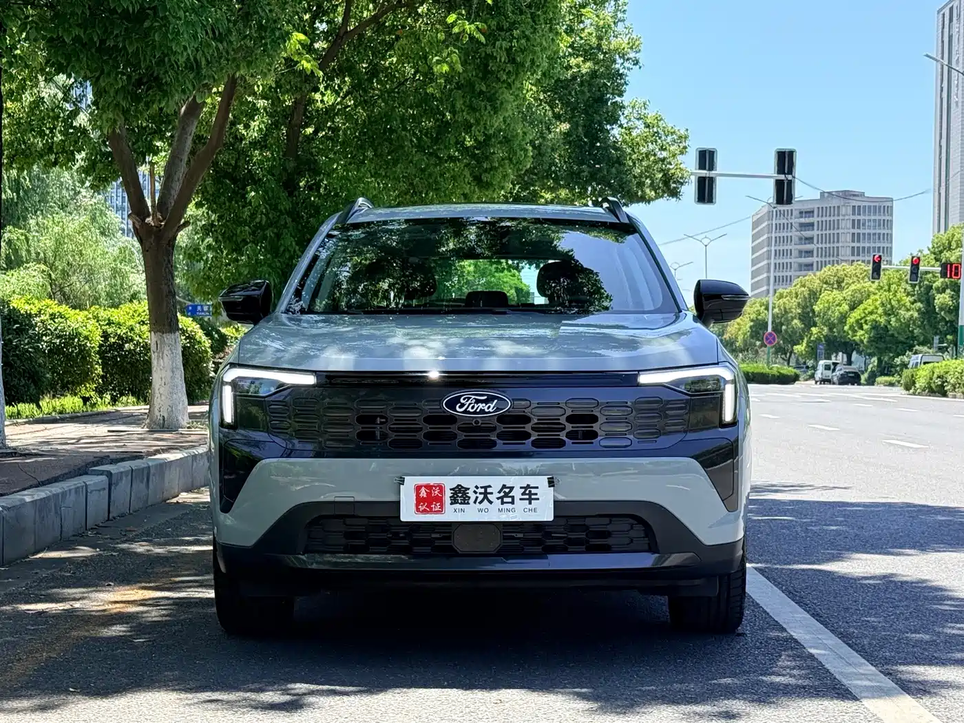 Ford Territory, фото 2