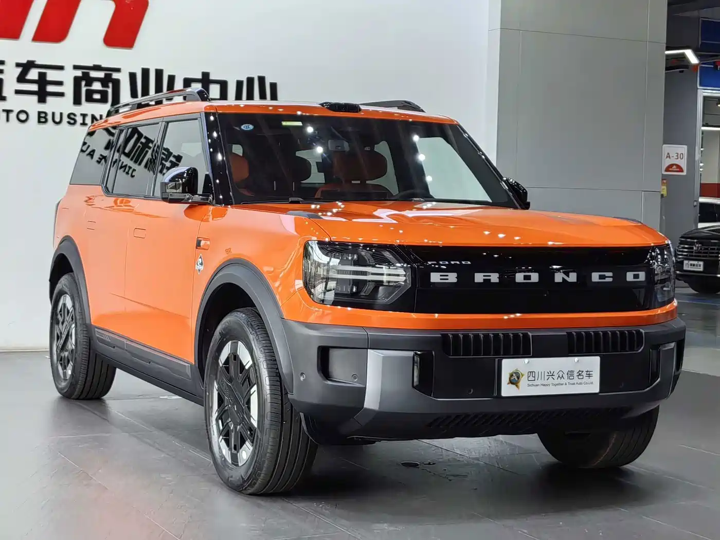 Ford Bronco, фото 13
