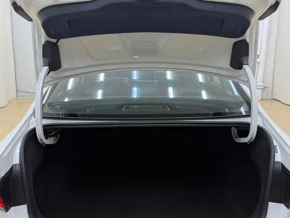 Volkswagen Sagitar, фото 12