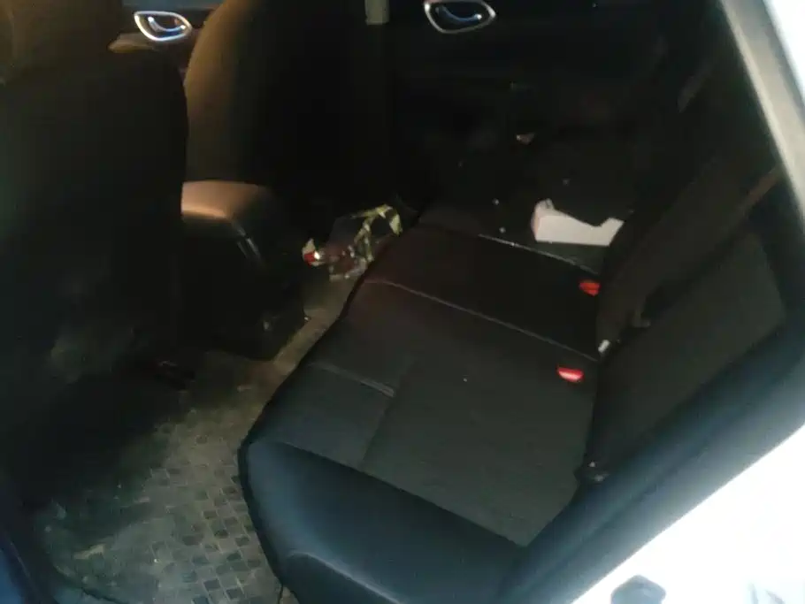 Nissan Sylphy, фото 3
