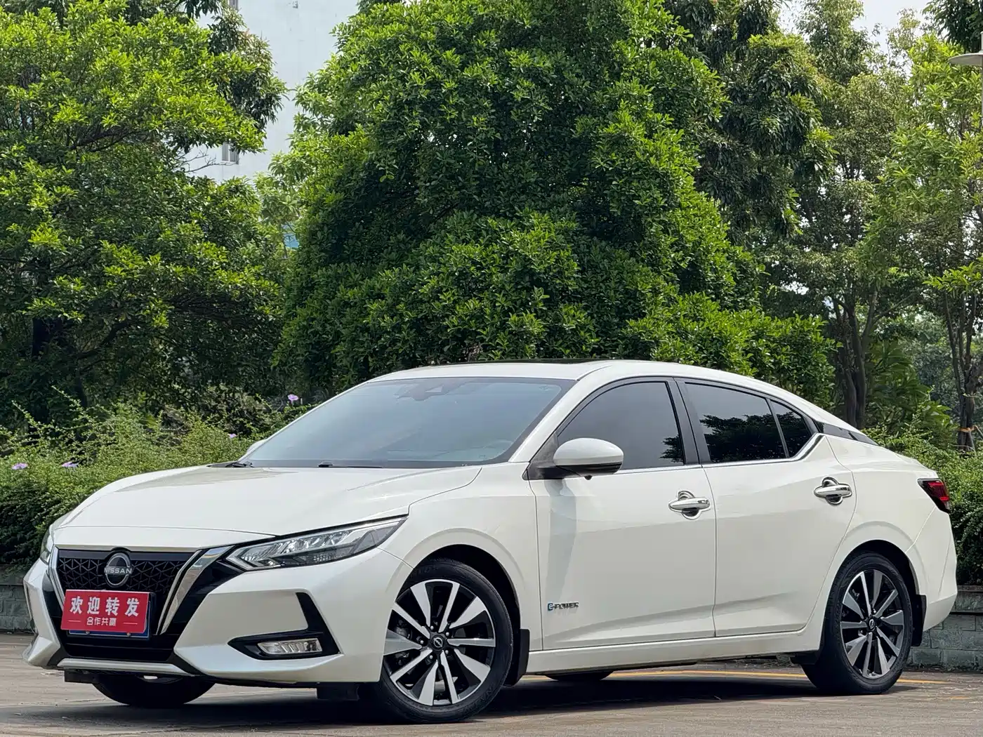 Nissan Sylphy, фото 1