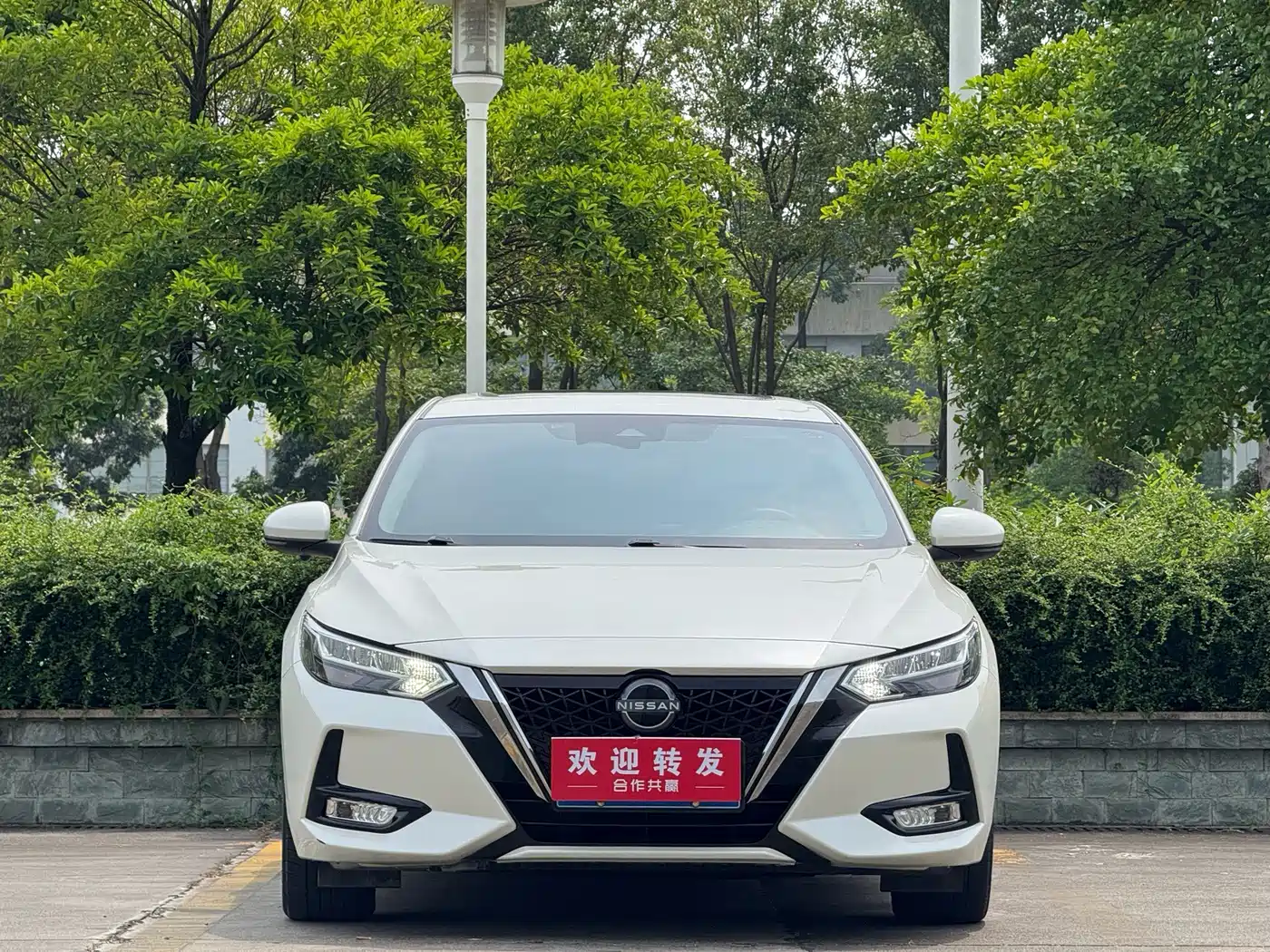 Nissan Sylphy, фото 2