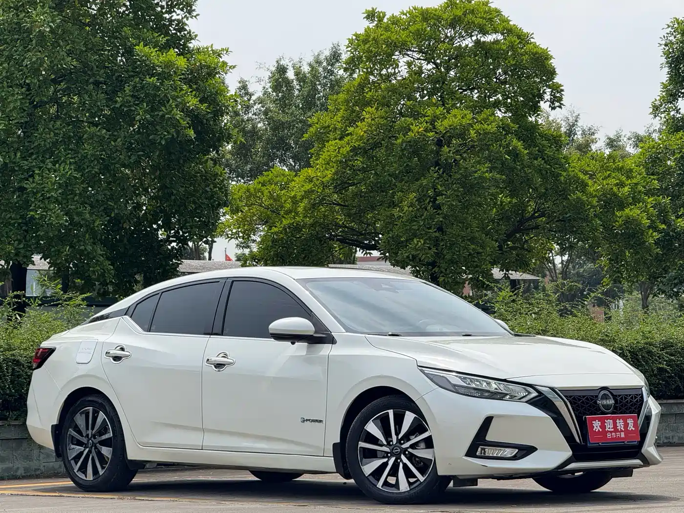 Nissan Sylphy, фото 3