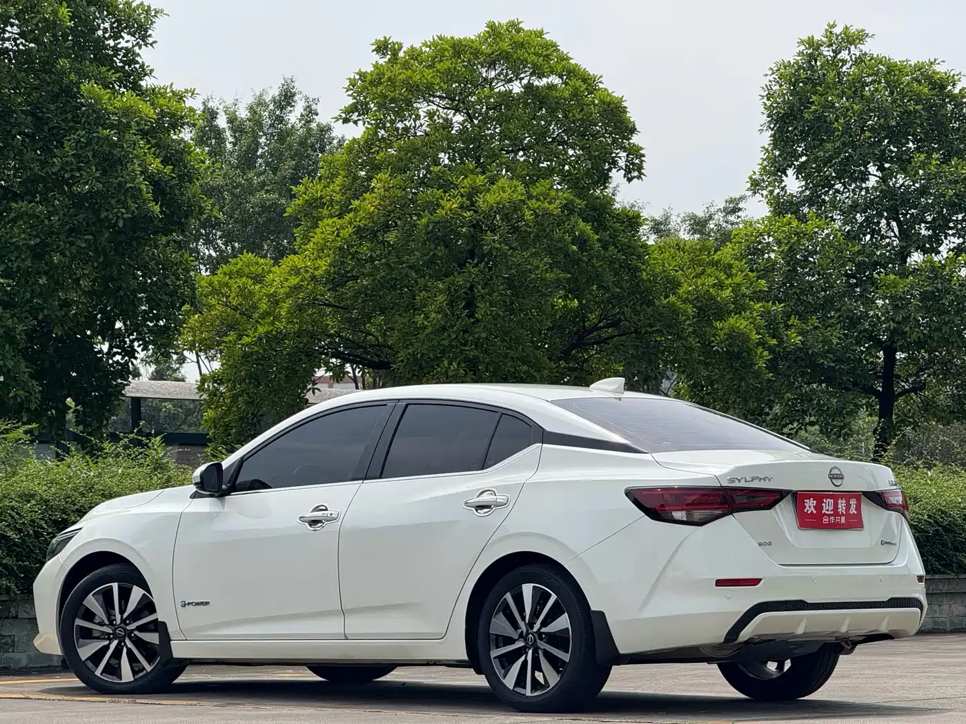 Nissan Sylphy, фото 6