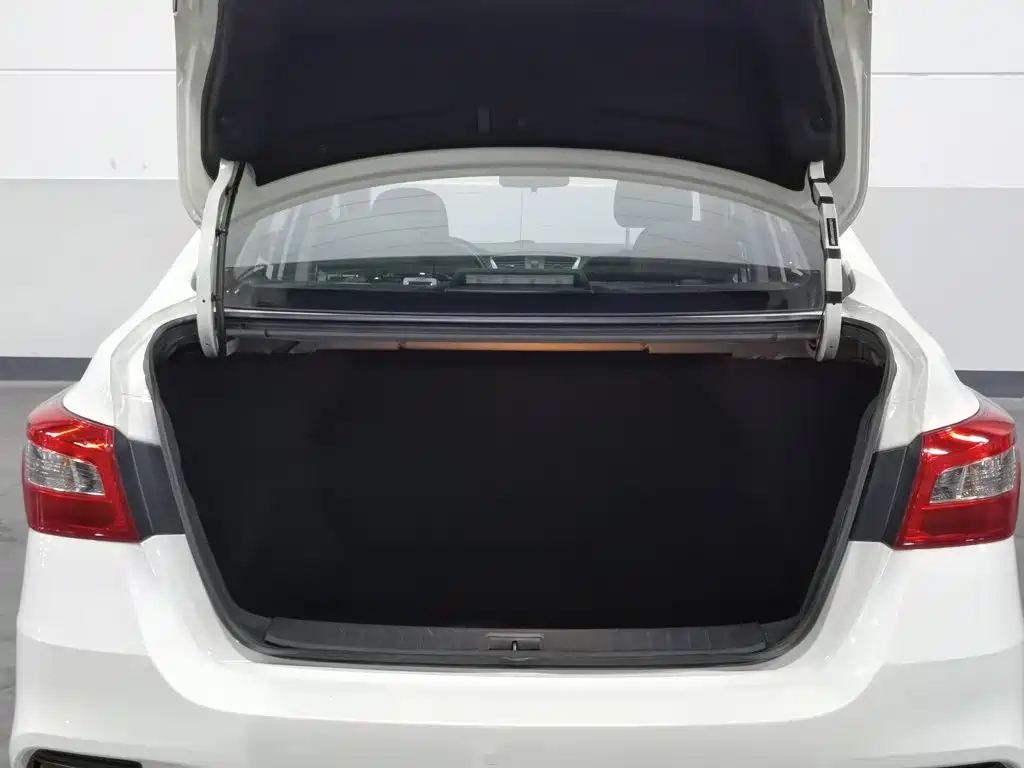 Nissan Sylphy, фото 8