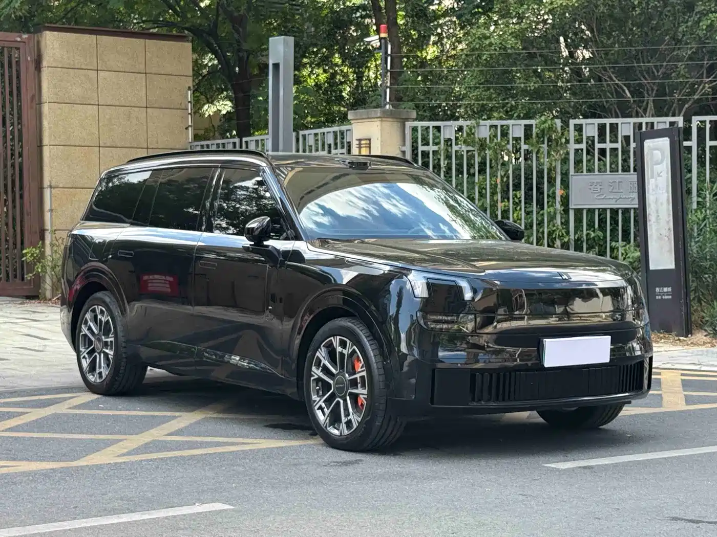 Lynk & Co 900, фото 3