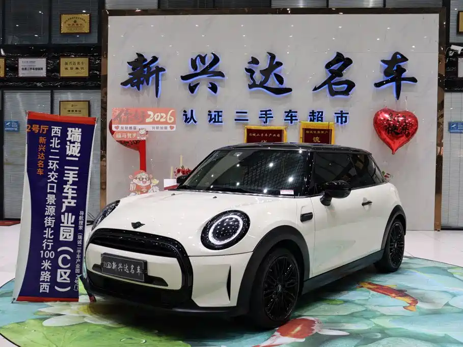 MINI , фото 1