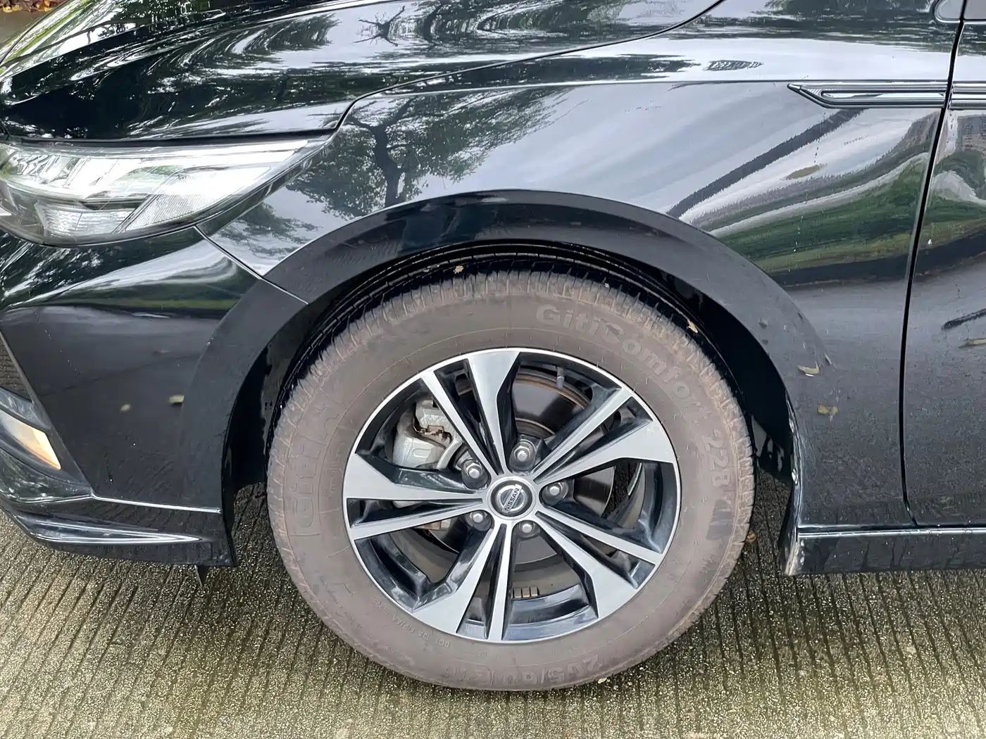 Nissan Sylphy, фото 13