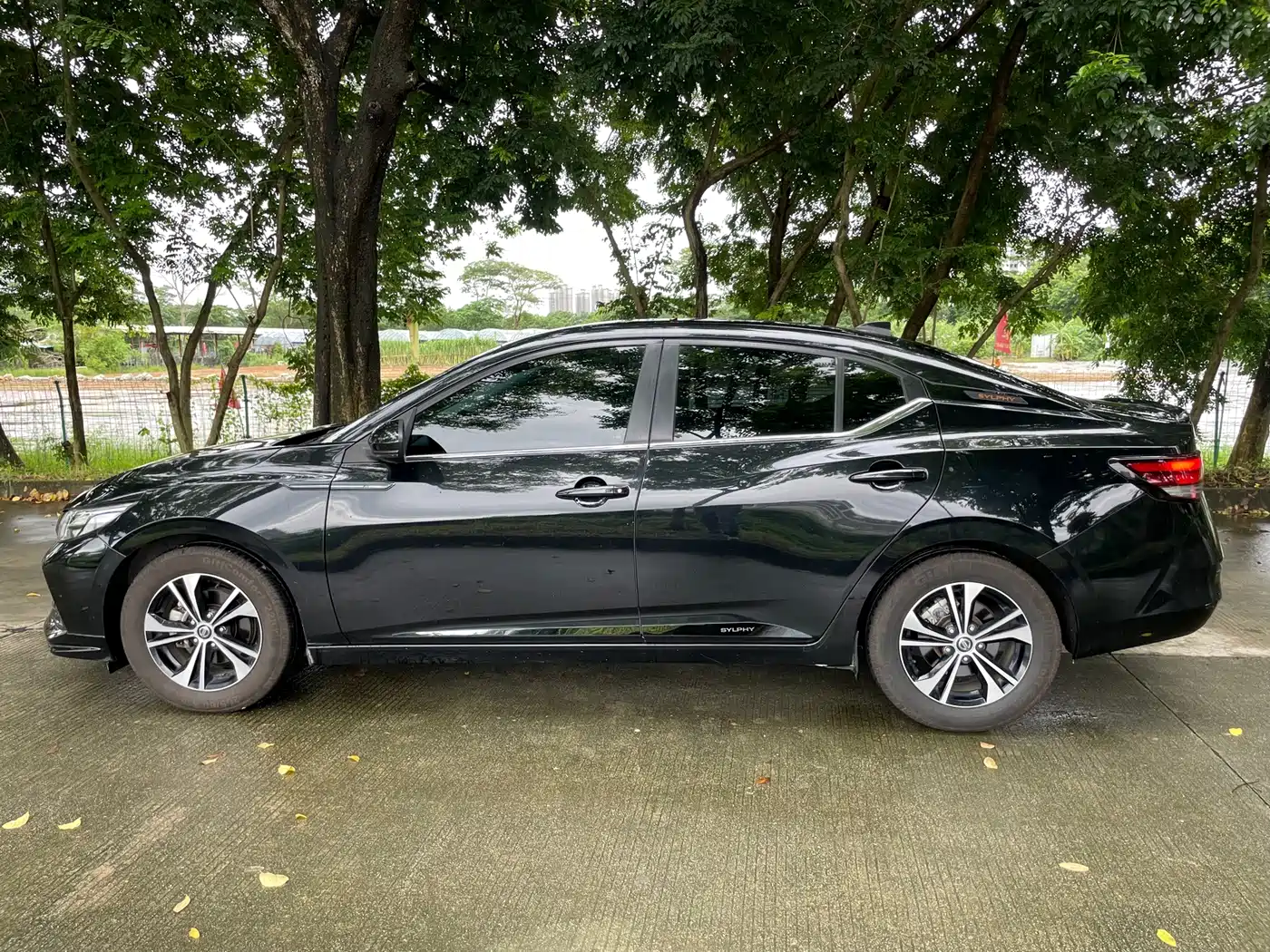 Nissan Sylphy, фото 15