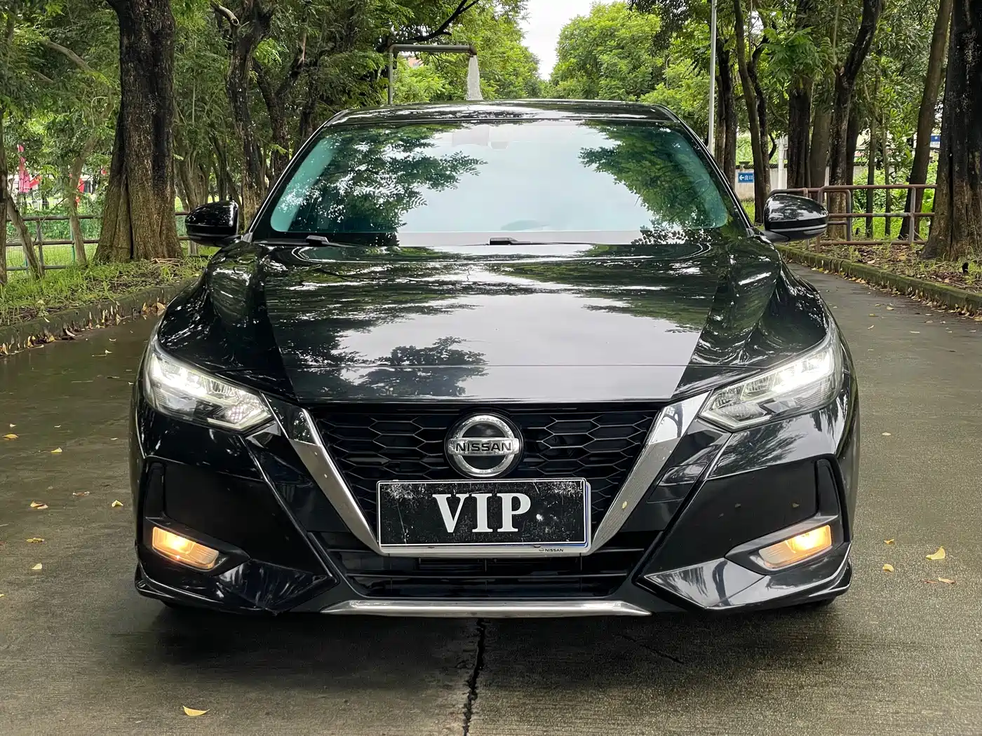 Nissan Sylphy, фото 16