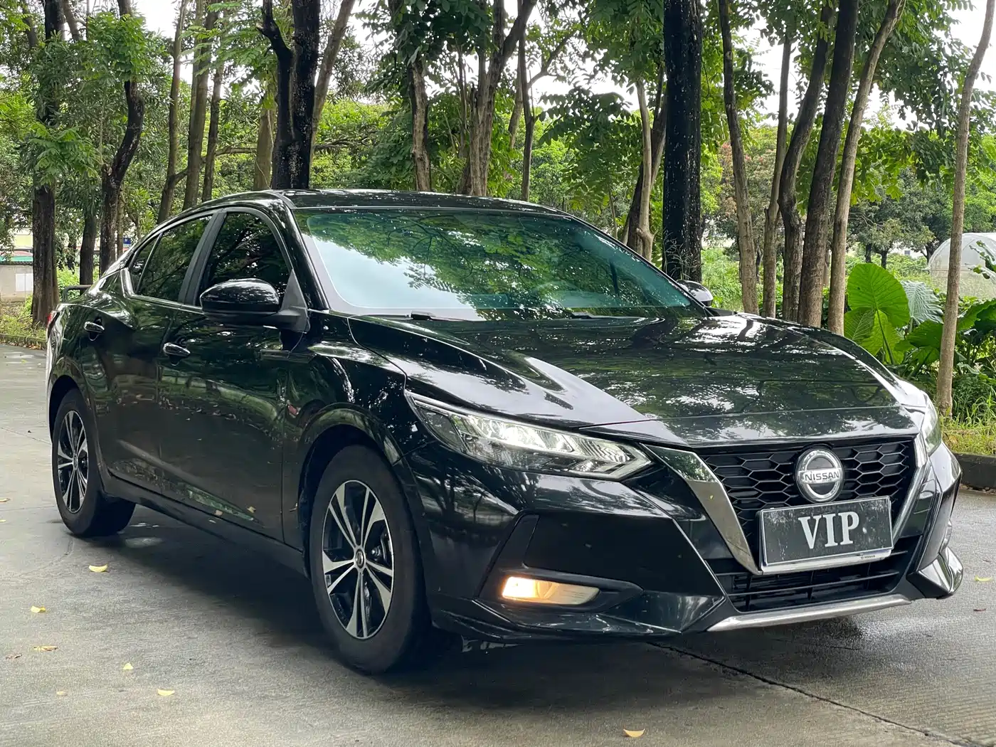 Nissan Sylphy, фото 18