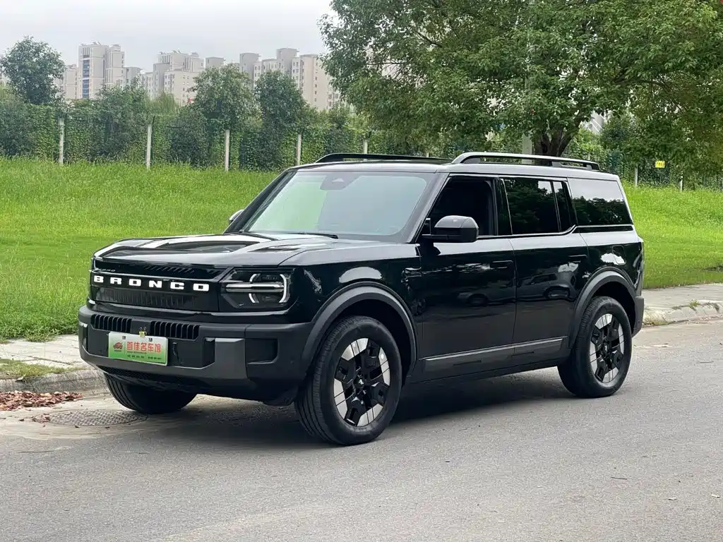 Ford Bronco, фото 1