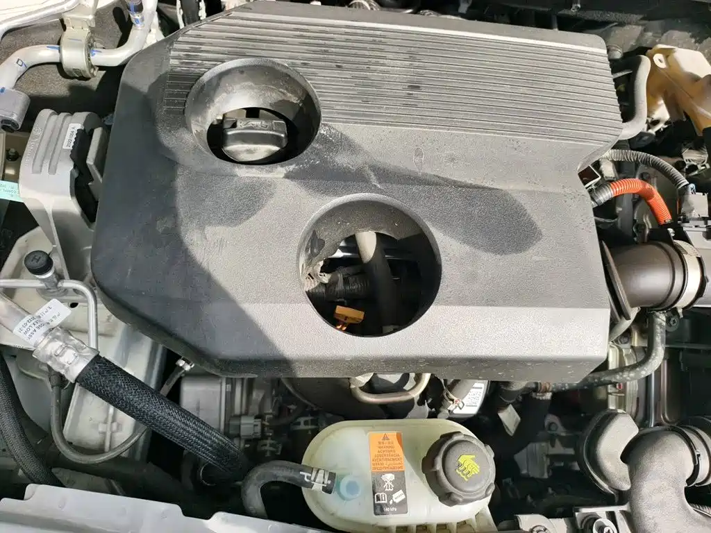 Nissan Sylphy, фото 12