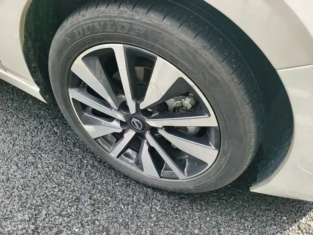 Nissan Sylphy, фото 17