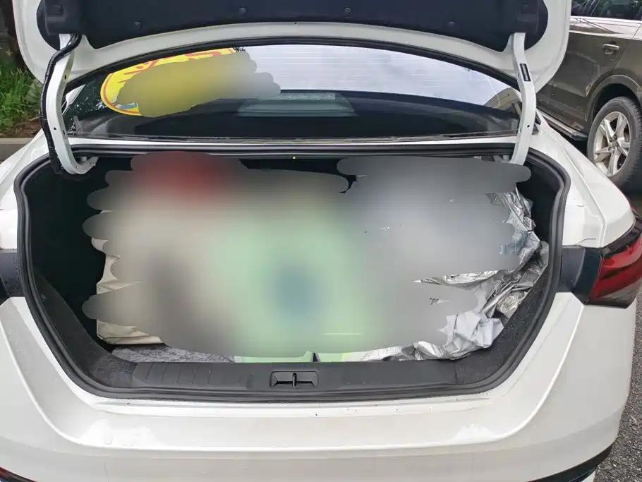 Nissan Sylphy, фото 10