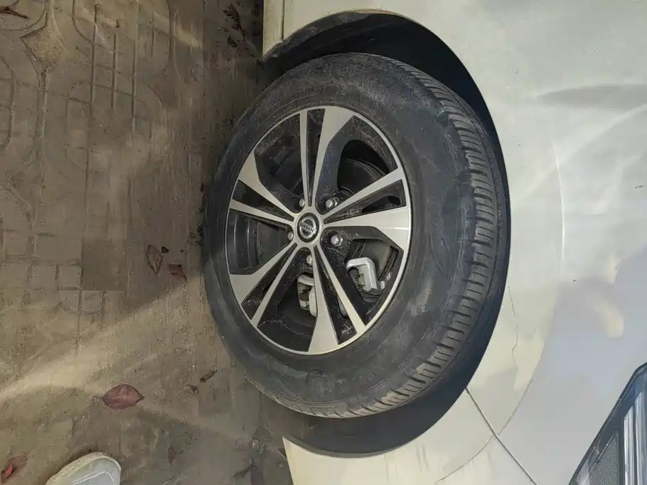 Nissan Sylphy, фото 12