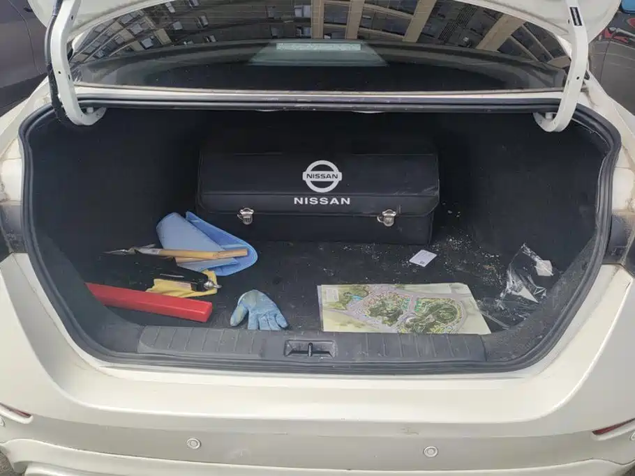 Nissan Sylphy, фото 10