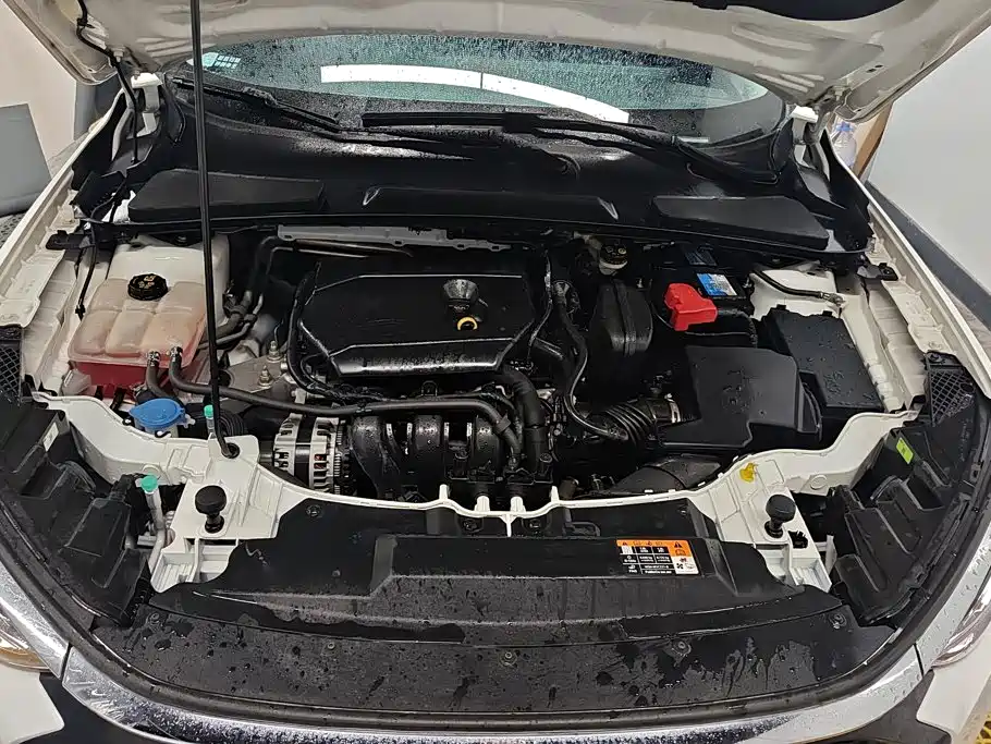 Ford Escort, фото 16