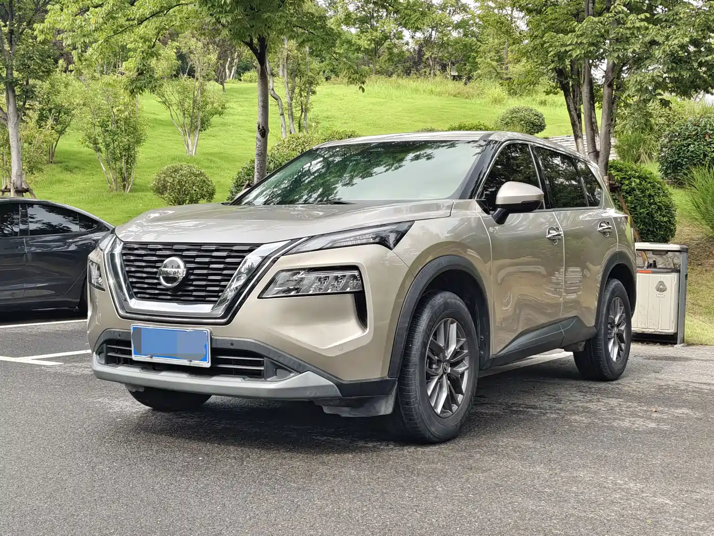 Nissan X-Trail, фото 1