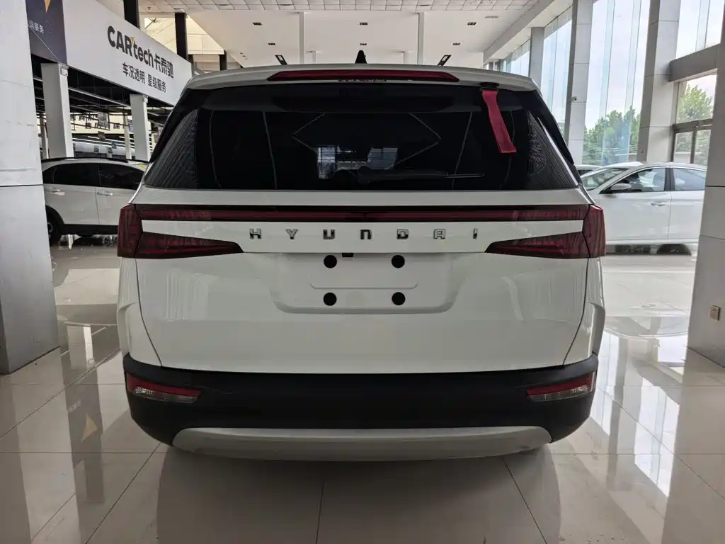 Hyundai Custo, фото 10