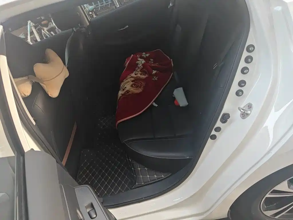 Nissan Sylphy, фото 10