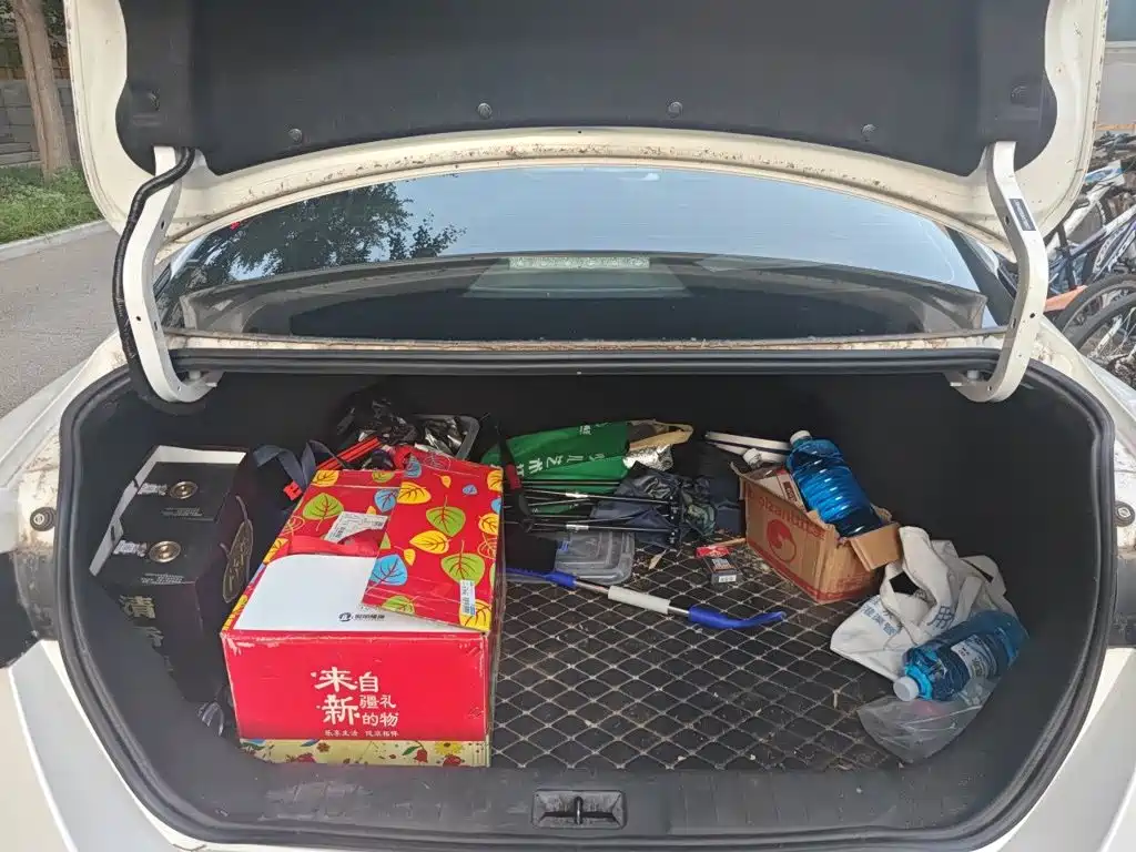 Nissan Sylphy, фото 12