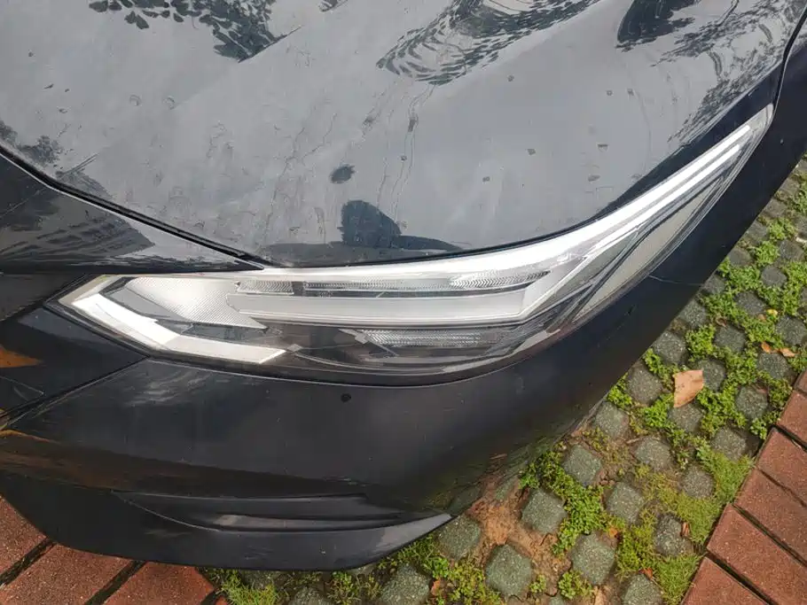 Nissan Sylphy, фото 11