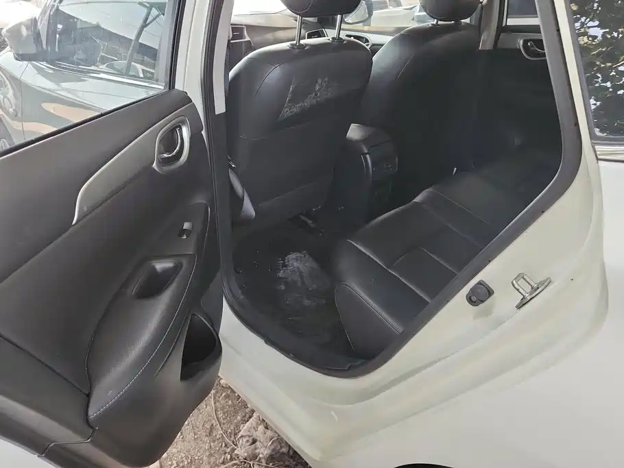 Nissan Sylphy, фото 3
