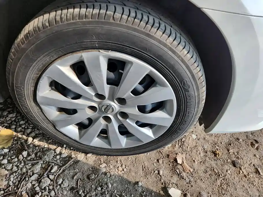 Nissan Sylphy, фото 12