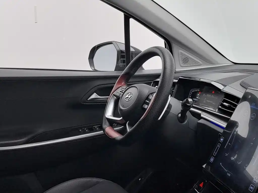 Hyundai Custo, фото 15