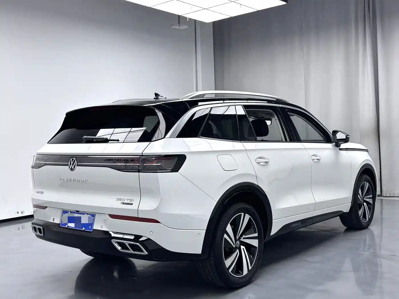 Volkswagen Tavendor, фото 2