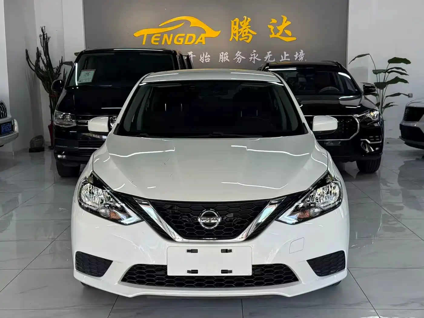 Nissan Sylphy, фото 2