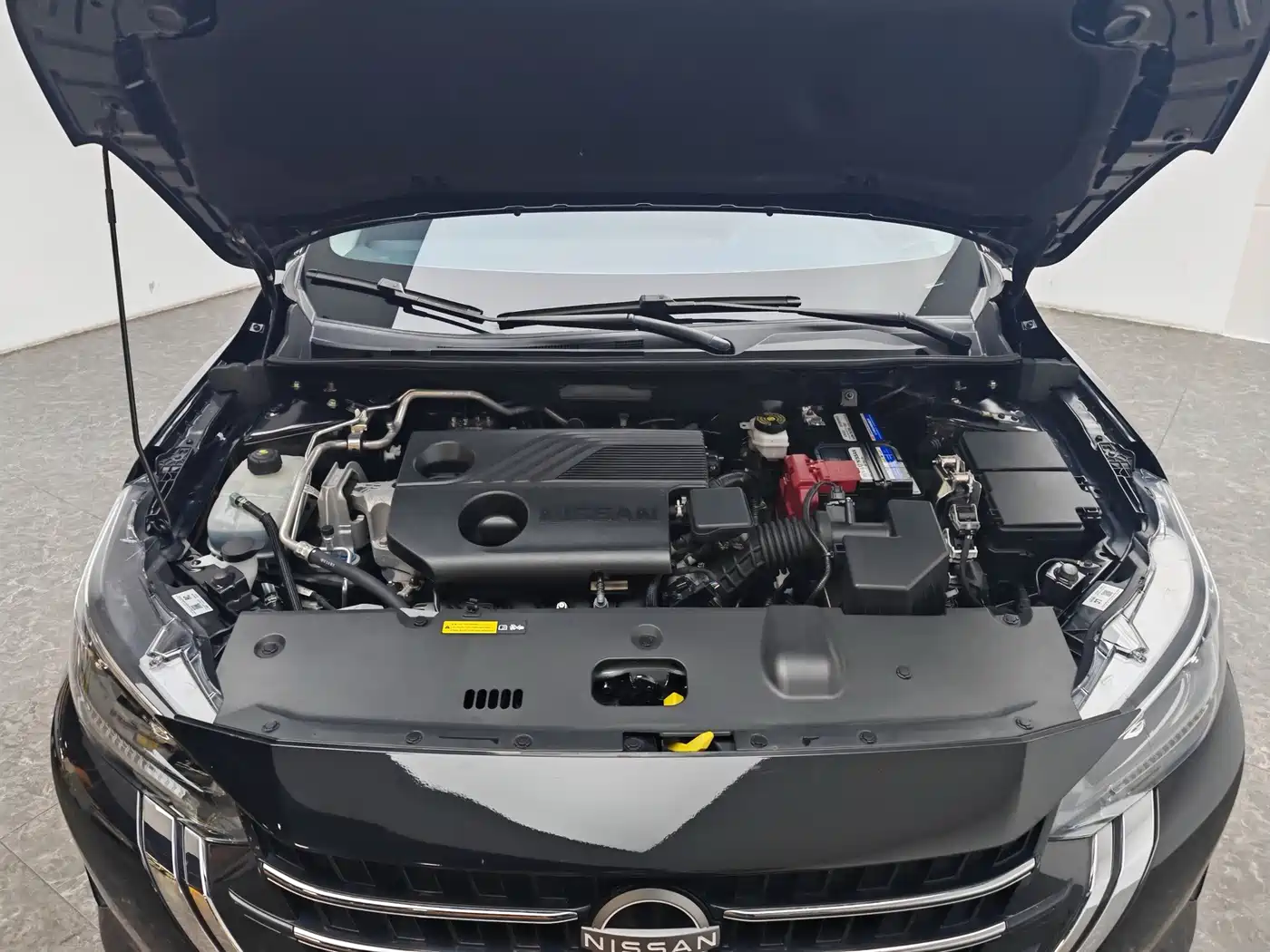 Nissan Sylphy, фото 5